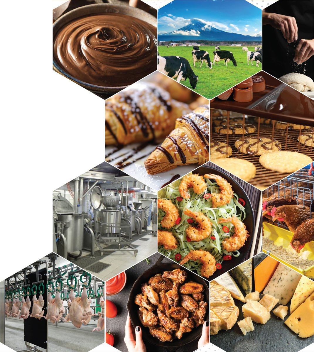 Bakery, confectionery, dairy, poultry and processed food applications