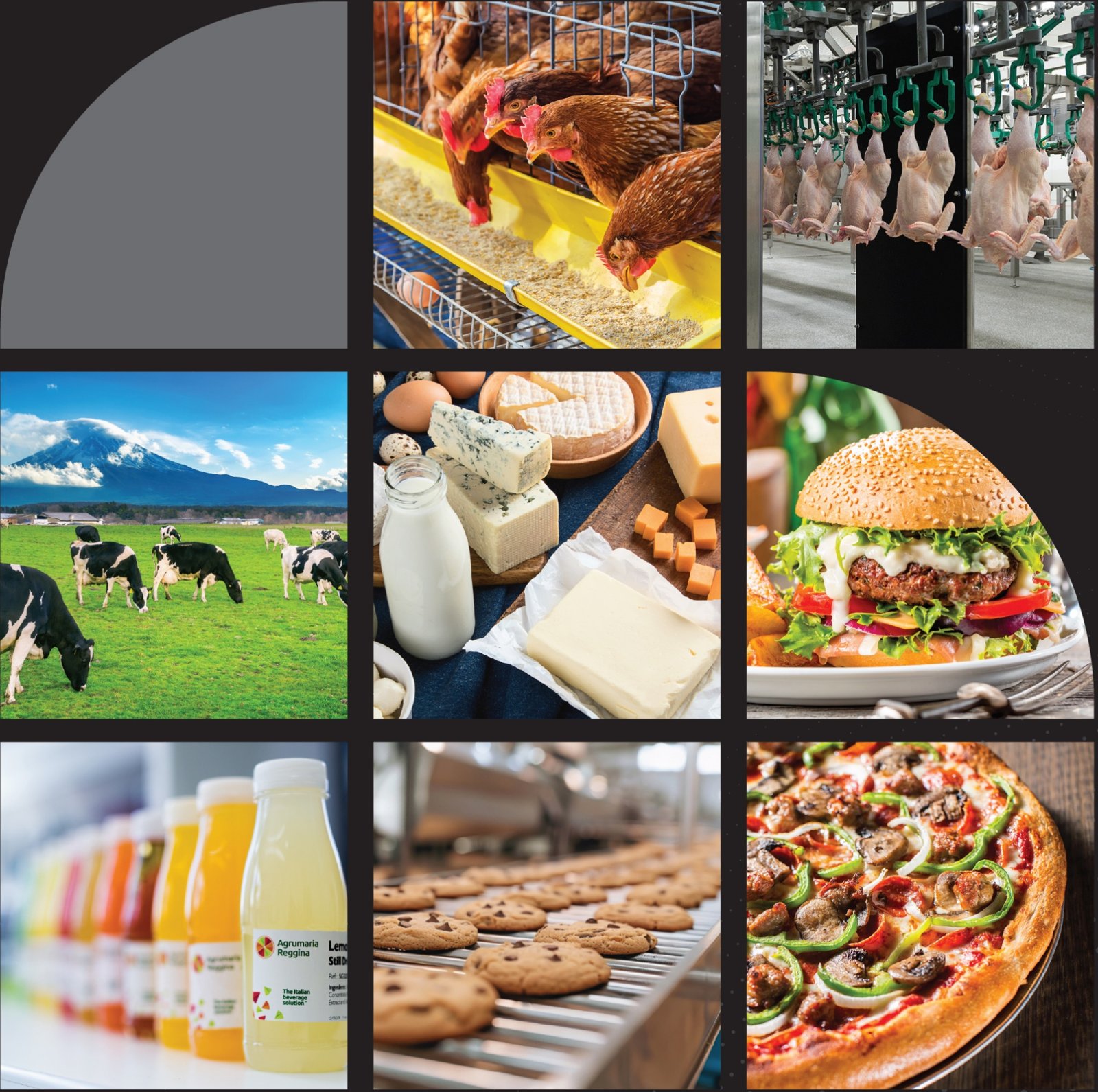 Poultry, dairy, beverages, bakery and processed food applications