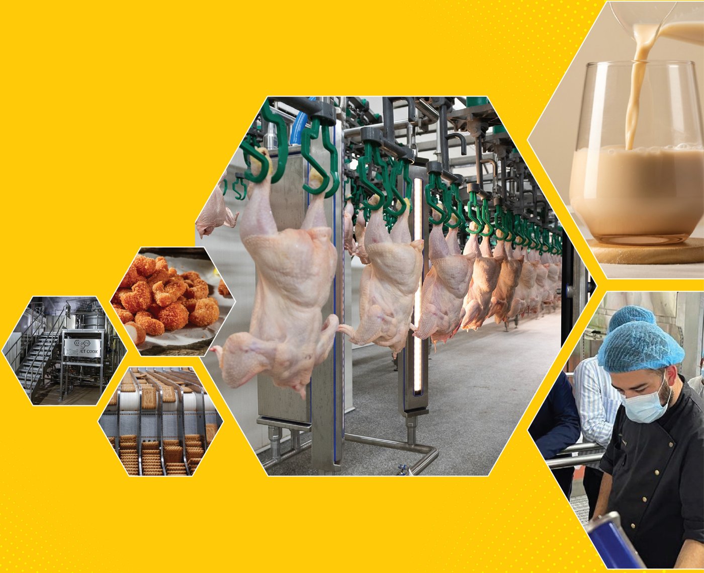 Poultry processing line, dairy, bakery and food production